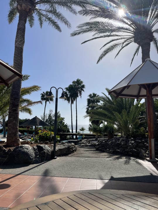 Gartenanlage ROBINSON ESQUINZO PLAYA
