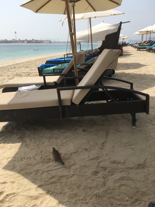 Strand Rixos The Palm Hotel & Suites