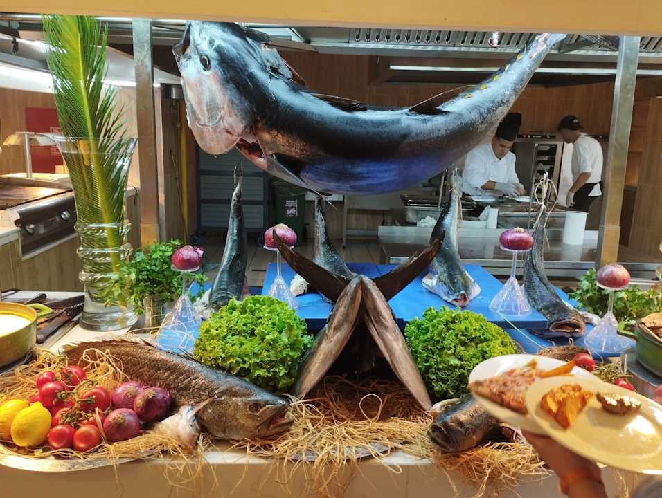 Gastro AQI Pegasos World