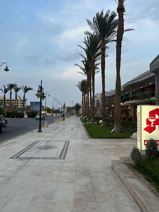 Ausblick FLOWER OF LIFE - Red Sea