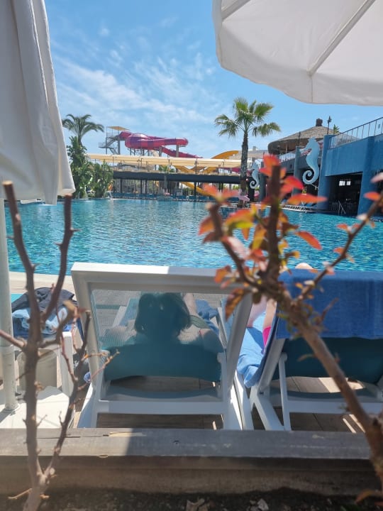 Pool Dream World Palace Hotel