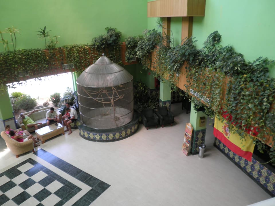 Recepción Diver Roquetas Hotel by Senator