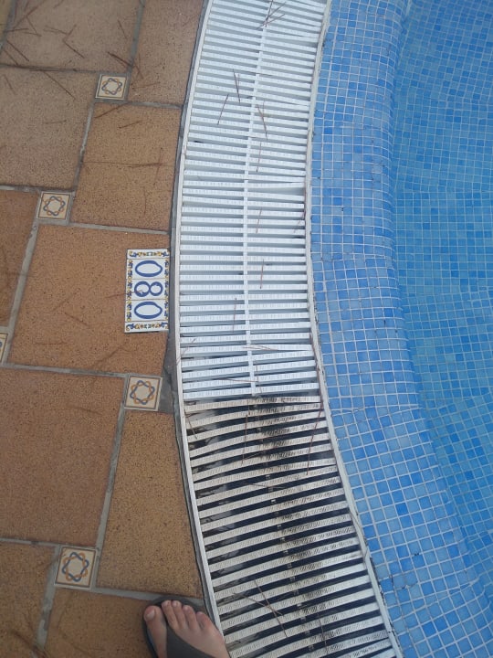 Pool Grupotel Los Principes & Spa