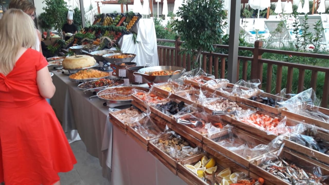 Toll ! Seashell Vega