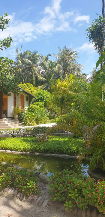 Gartenanlage Adaaran Select Meedhupparu Island Resort - Premium All Inclusive