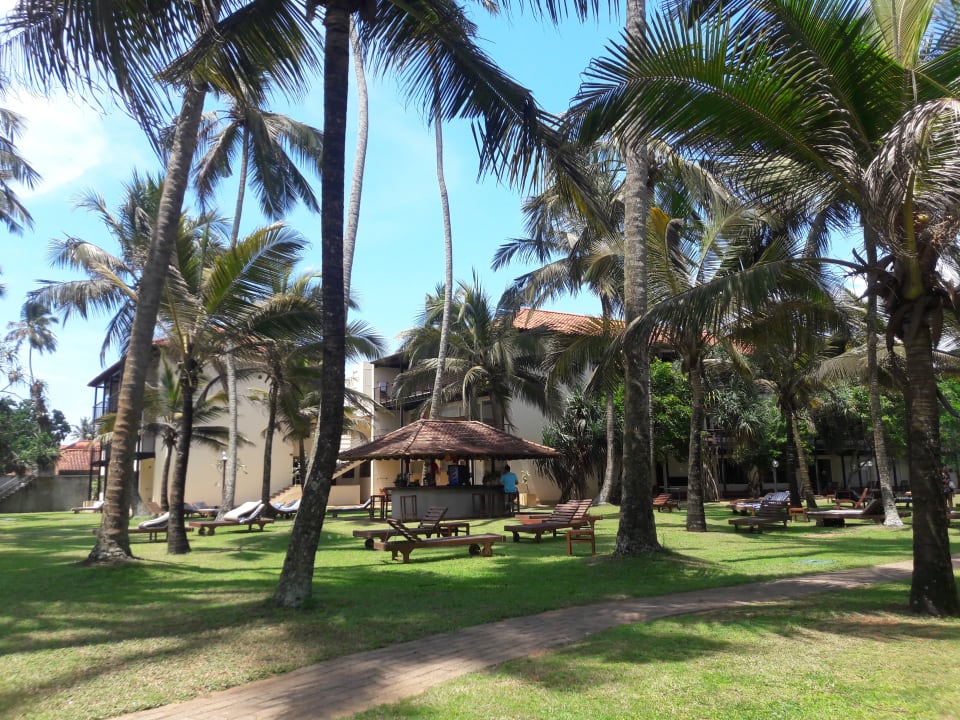 Gartenanlage Mermaid Hotel & Club