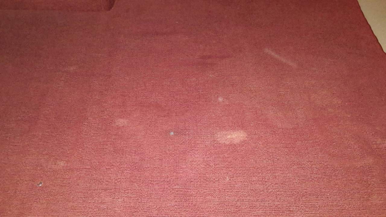 Dem Sofa ist nicht mehr zu trauen Hotel Fourteen Again