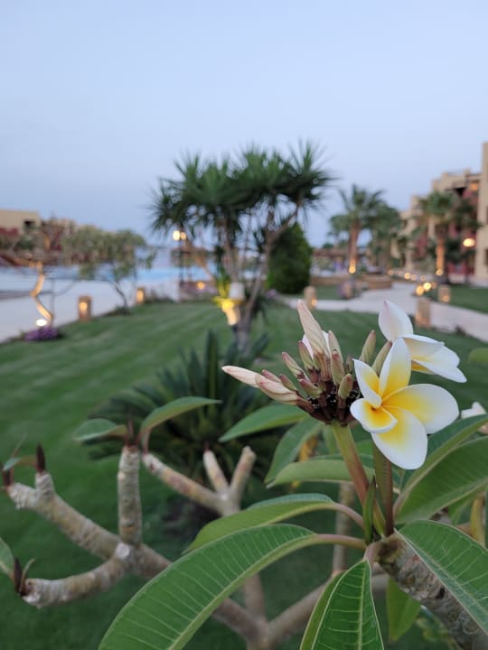 Gartenanlage Casa Mare Resort