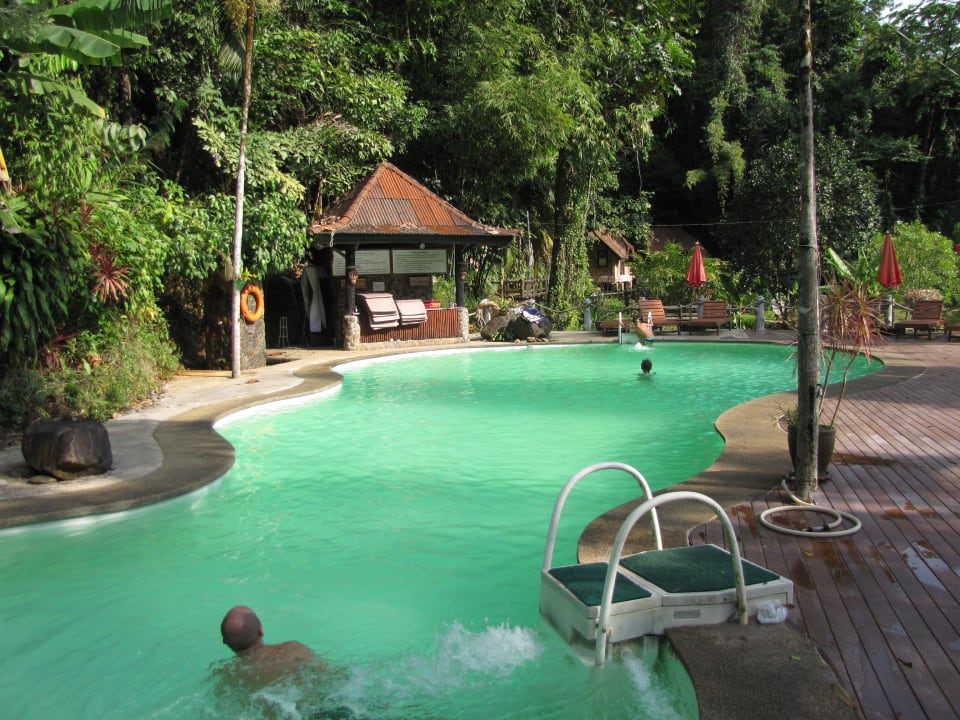 Pool am Rande des Urwaldes Kuraburi Greenview Resort