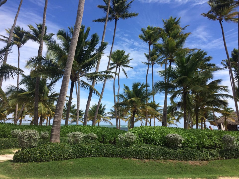 Blick vom Buffetrestaurant Secrets Royal Beach Punta Cana - Adults only
