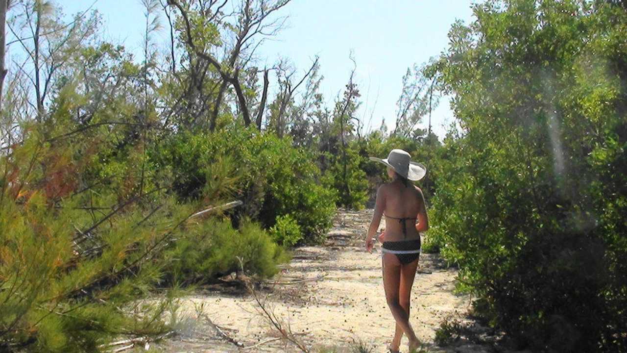 Cayo Levisa Cayo Levisa