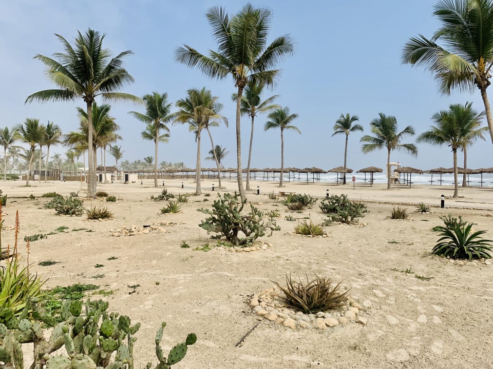 Gartenanlage Salalah Rotana Resort