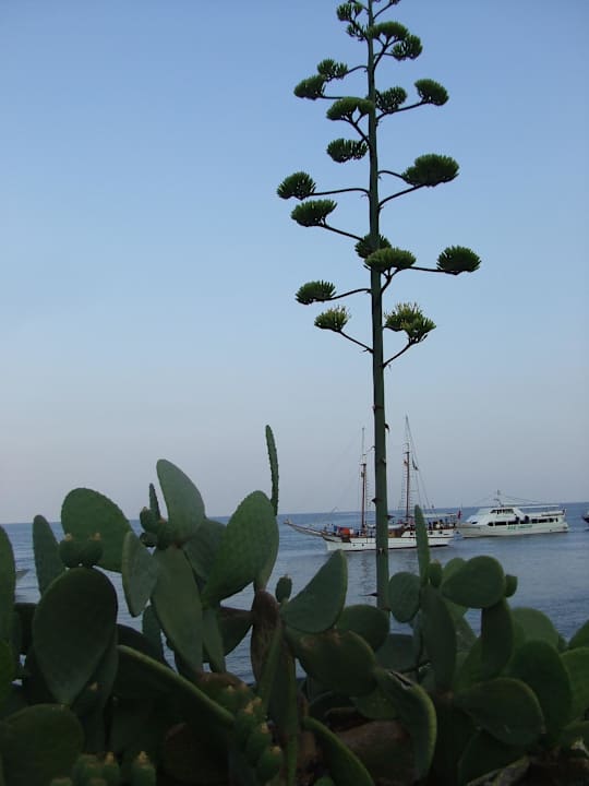 Stromboli, Hafenblick (Magmastrand) Eolo Hotel