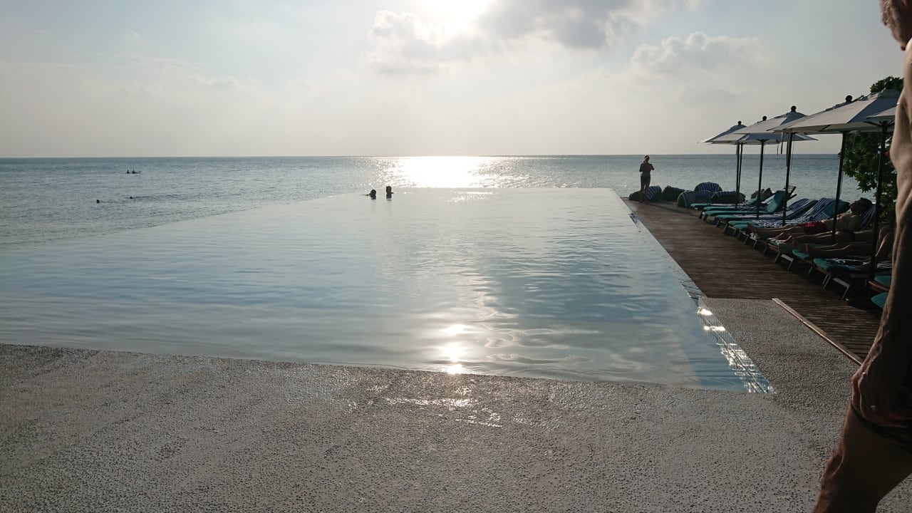 Der Pool Summer Island Maldives