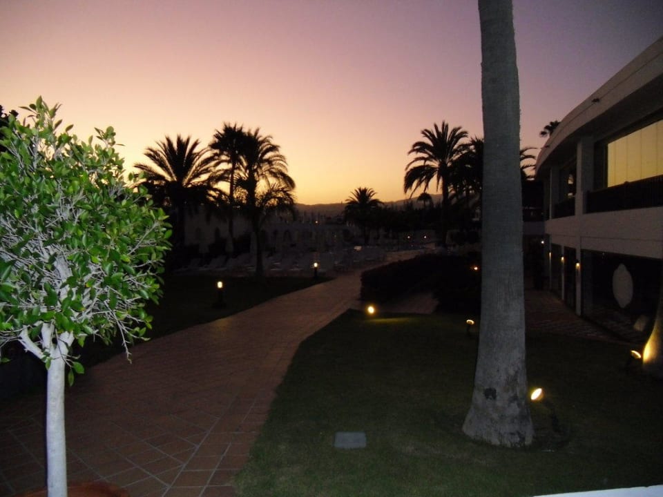 Gartenanlage im vorderen Außenbereich Sunprime Atlantic View