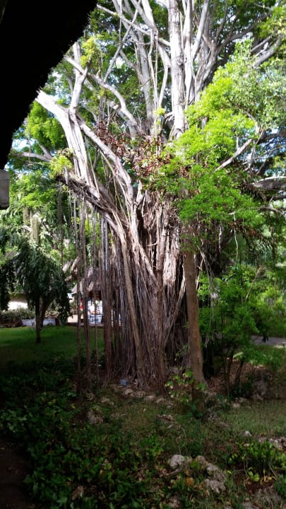 Hotel Baobab Beach Resort Baobab Beach Resort & Spa