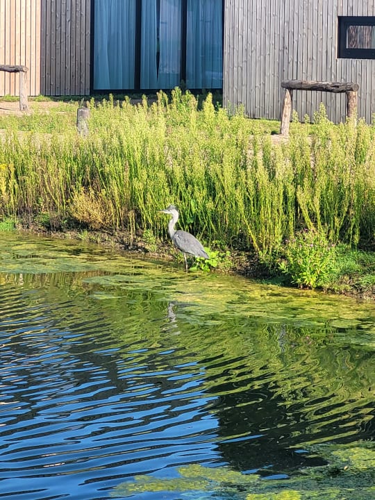 Gartenanlage Roompot Lakeside Resort Brielle