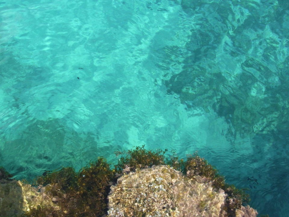 Das Paradies wir durften hier sein Comino Hotel & Bungalows