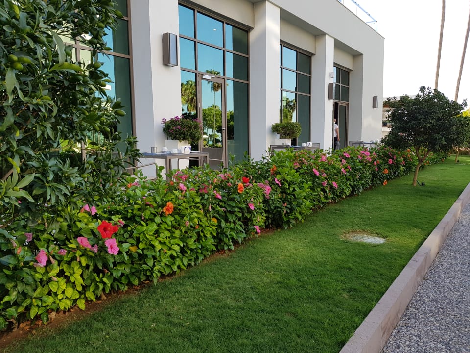 Außenansicht Acanthus Cennet Barut Collection