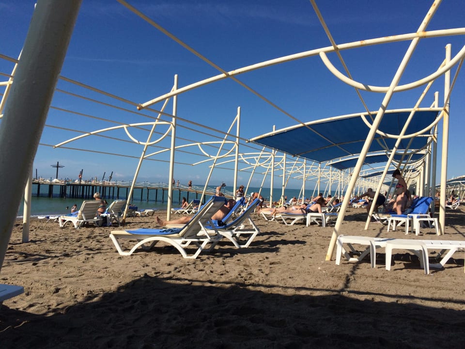 Mit & ohne Sonnensegel Seaden Sea World Resort & Spa