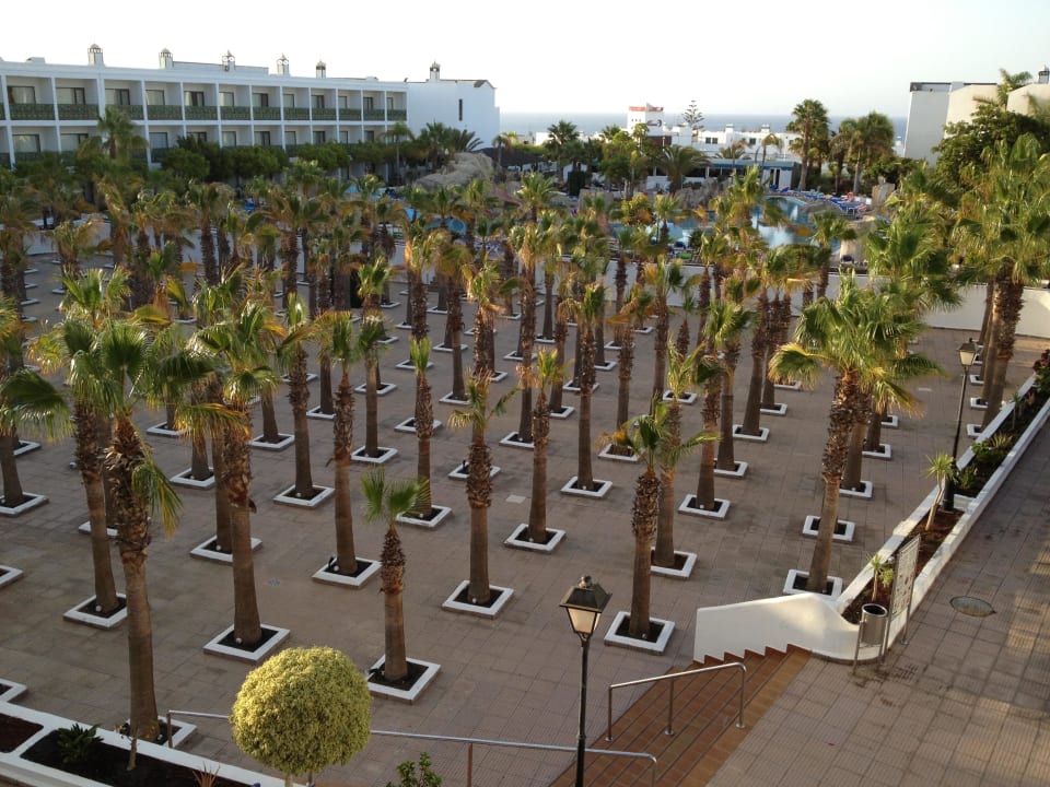 Blick vom Balkon BLUESEA Costa Bastian
