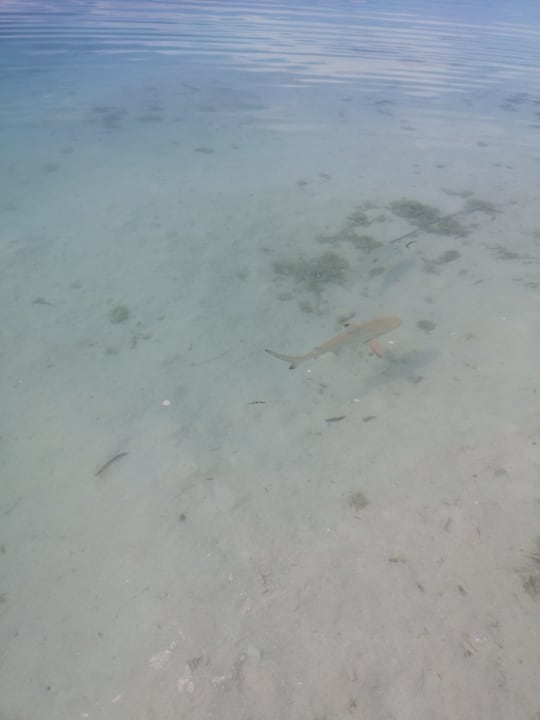 Strand Sun Siyam Olhuveli