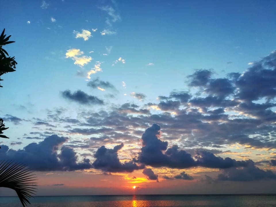 Ausblick Summer Island Maldives