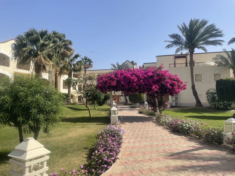 Außenansicht Regency Plaza Aqua Park & Spa