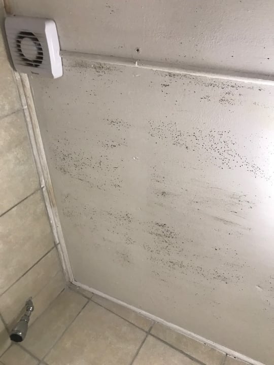 Zimmer Hotel Misty Mountain Reserve