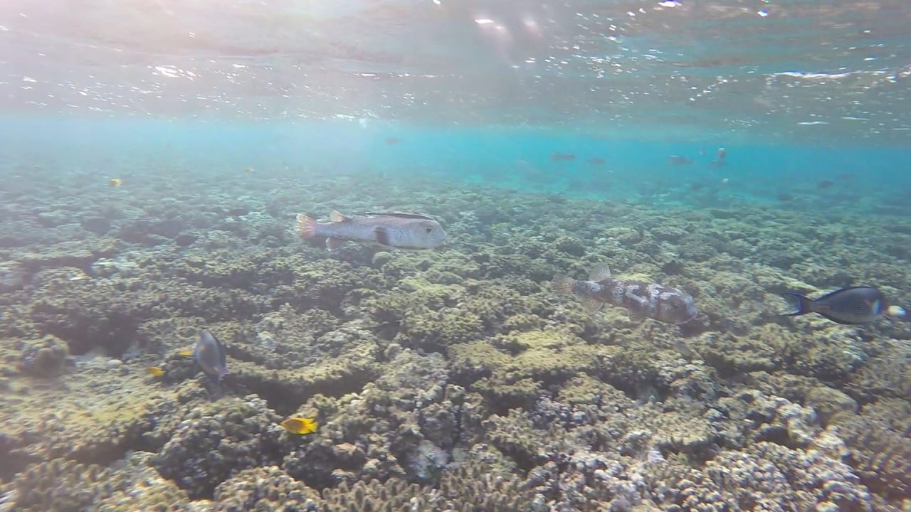 Sport & Freizeit Cleopatra Luxury Resort Makadi Bay