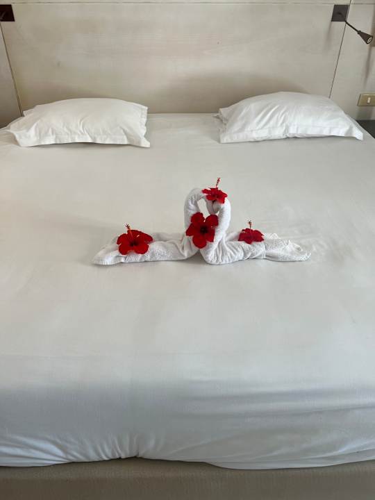 Zimmer Iliade Aqua Park Djerba