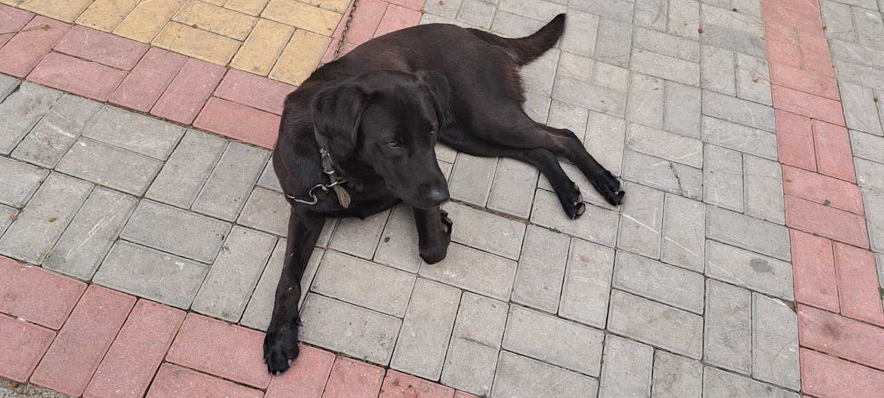 Sonstiges Quattro Beach Spa & Resort