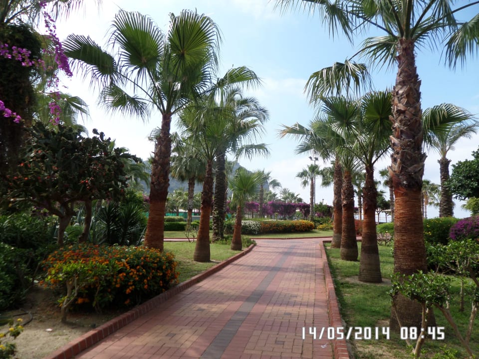 Weg zum Strand-nicht weit Hatipoglu Beach Hotel