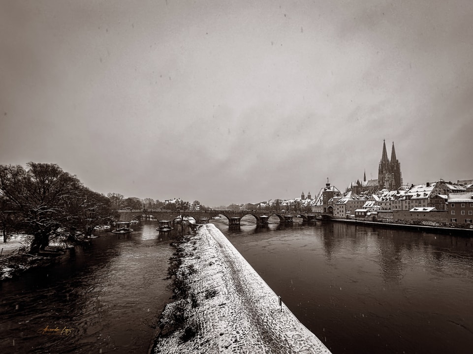 Zimmer Sorat Insel Hotel Regensburg