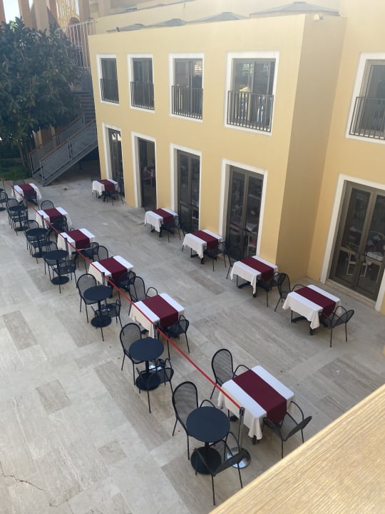 Gastro Asteria Collection Side