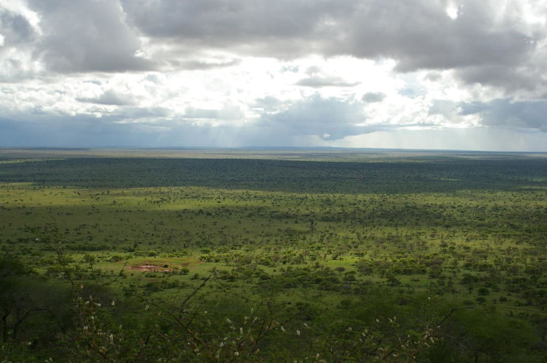 Ausblick vom Lion Rock Hotel Lion Rock Safari Camp