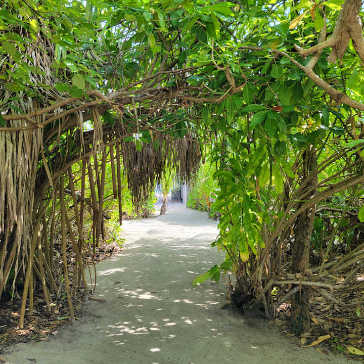 Gartenanlage Kuredu Island Resort & Spa