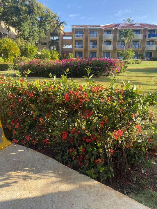 Gartenanlage Hotel Viva Dominicus Palace by Wyndham-All Inclusive Resort