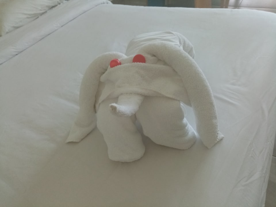 Zimmer Novotel Marsa Alam Beach Resort