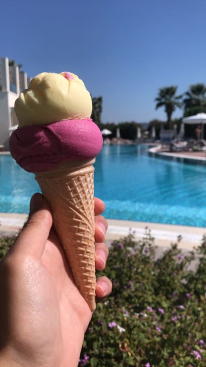 Pool Paloma Pasha