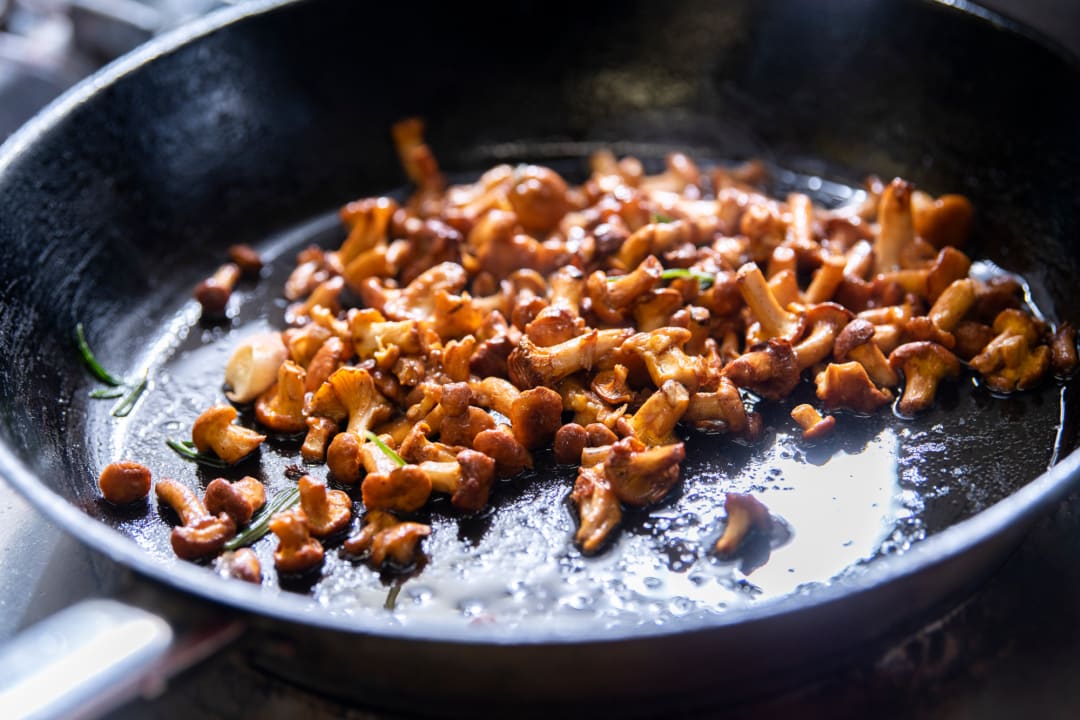 Gastro Fora Hotel Hannover