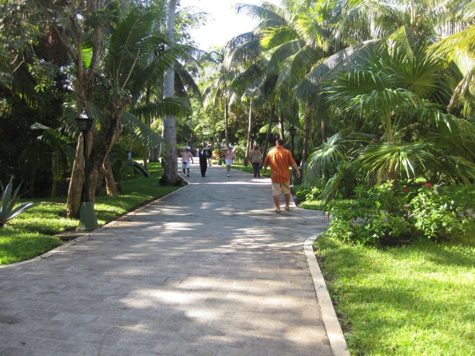 Gartenanlage Riu Tequila Hotel Riu Tequila