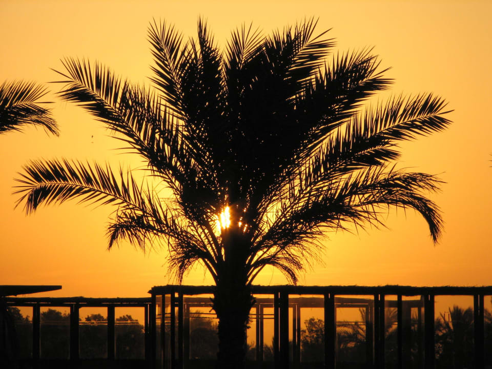 Sunrise SUNRISE Royal Makadi Resort