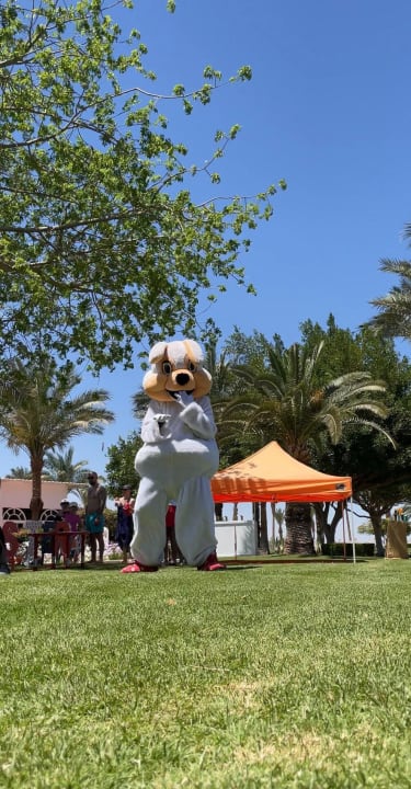 Sport & Freizeit Desert Rose