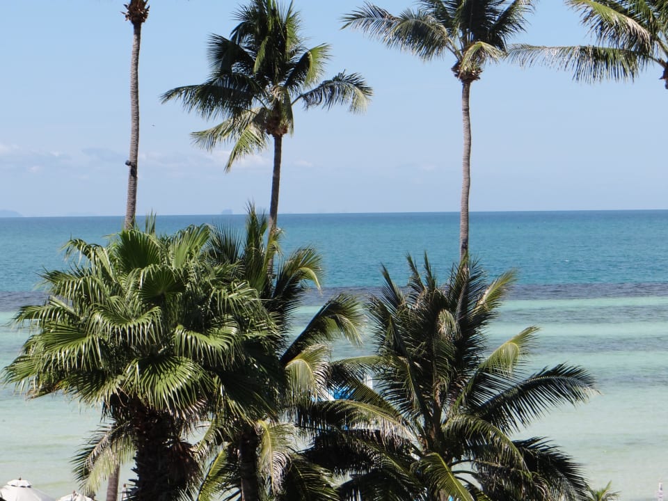 Blick vom Balkon Hotel Mai Samui Beach Resort & Spa