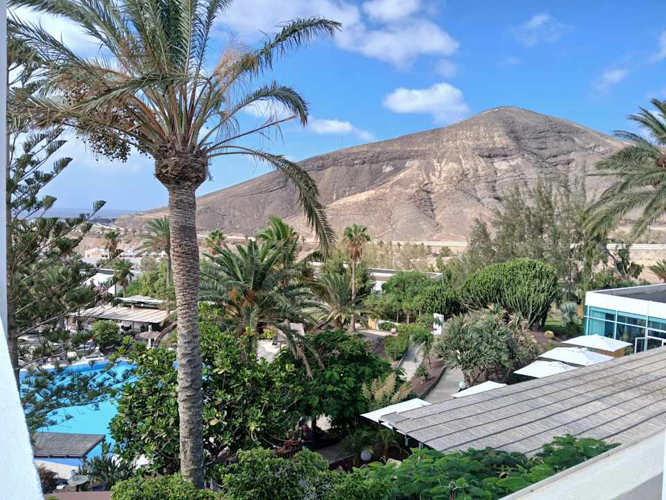 Ausblick allsun App.-Hotel Esquinzo Beach