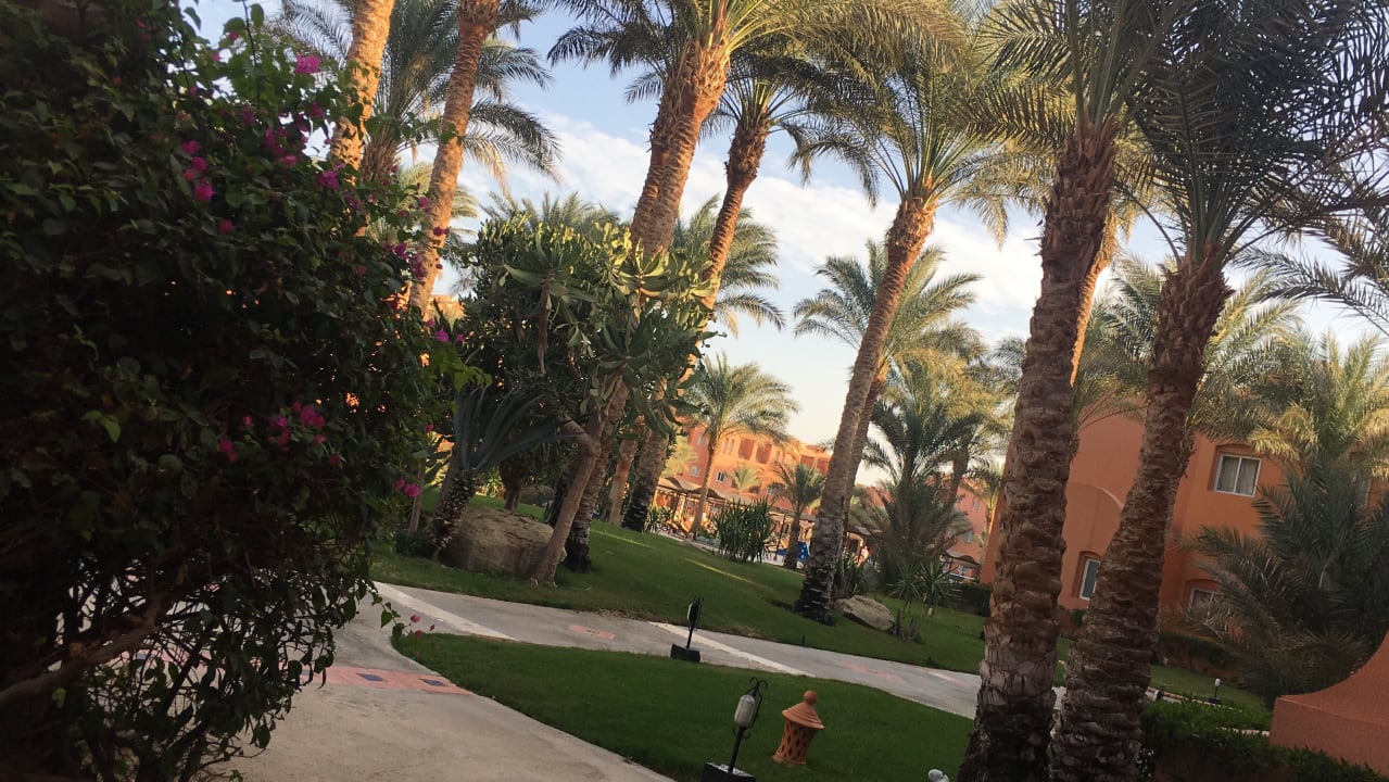 Gartenanlage Jaz Makadi Oasis Resort