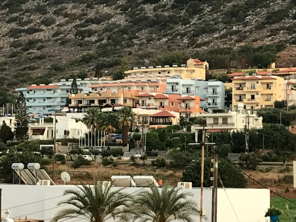 Ausblick Cactus Royal