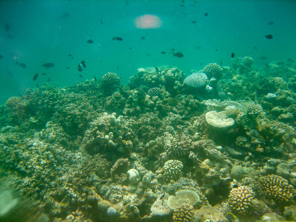Sport & Freizeit Summer Island Maldives