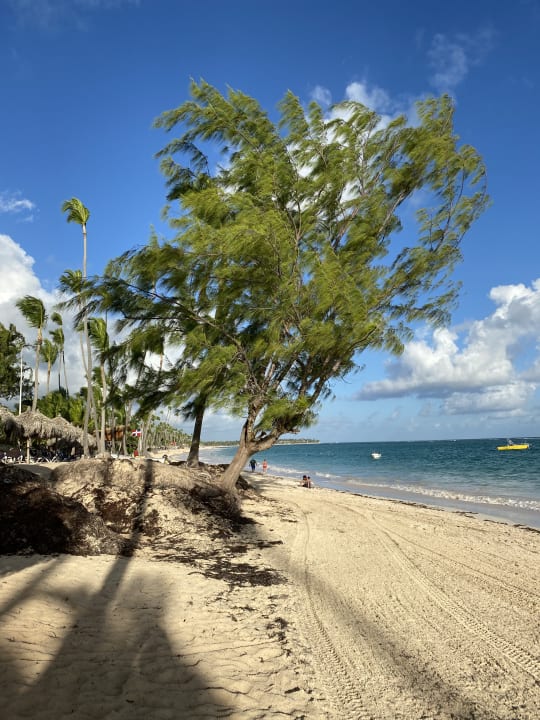 Strand Grand Palladium Punta Cana Resort & Spa